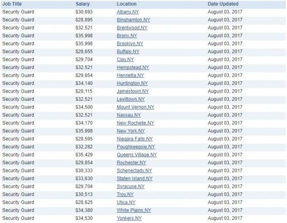 Security guard salary slip format - chibxe